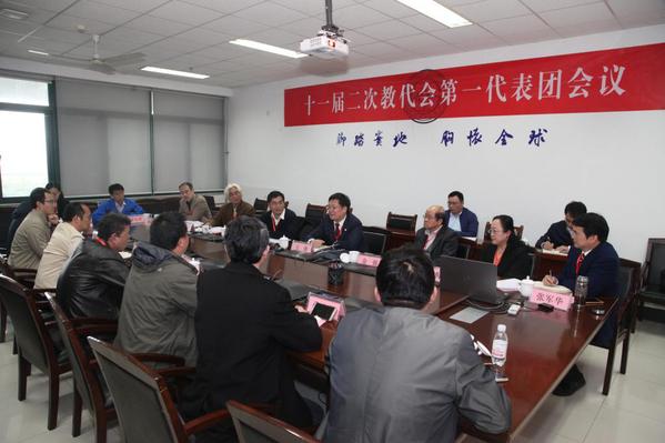 党委书记王勇参加代表团分组讨论 杨安摄影

