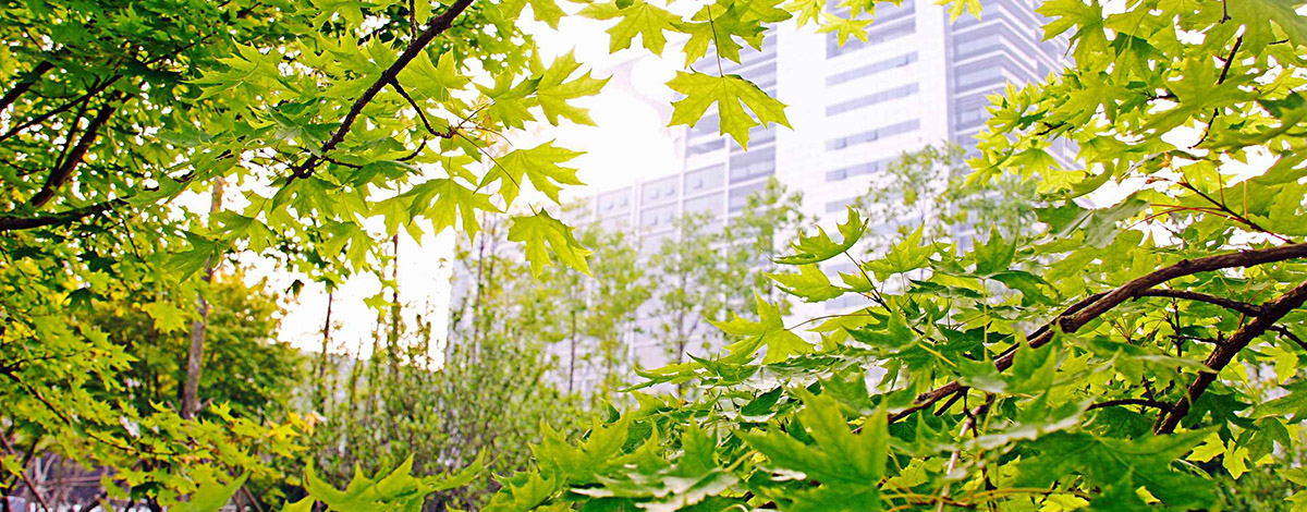 威廉希尔williamhill平台